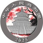 Pièce de monnaie en Argent 10 Yuan g 30 Millésime 2025 PANDA