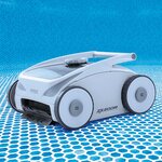 INTEX Aspirateur de piscine hors sol INTEX Gris et Noir ABS et PC