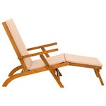 vidaXL Chaise longue inclinable et pliable 2 Pièces 55 x 146 x 91 cm