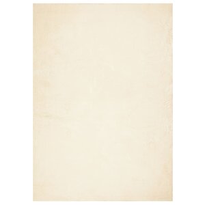 vidaXL Tapis HUARTE à poils courts doux et lavable crème 120x170 cm