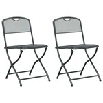 vidaXL Chaises de jardin 2 pc Anthracite Fer Convertible