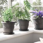 vidaXL Pots de plantes 24 Pièces Noir Ø 26 x 21.5 cm Plastique