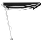 vidaXL Auvent manuel rétractable sur pied 600x300 cm Anthracite