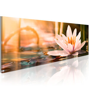 Tableau - beautiful lotus l x h en cm 135x45
