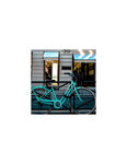 THIRARD - Chaîne acier gainé nylon Loops  vélo  moto  barrières  1.5m  noir  2 clés