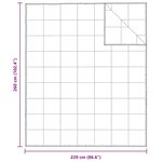 vidaXL Duvet 2-en-1 Blanc 260 x 220 cm Plume