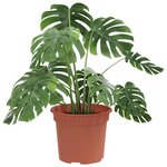 vidaXL Pot à fleurs rond 24 Pièces Rouge brique Ø 12 5 x 10 cm Plastique