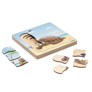 Sur la plage - la tortue de mer pousse  31 pièces de puzzle