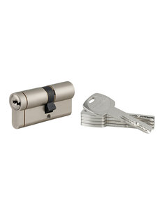 THIRARD - Cylindre double entrée Transit 1  30x40mm  nickelé  5 clés