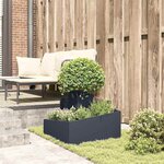 vidaXL Cache-pot de jardin Anthracite 60 x 60 x 50 cm Acier