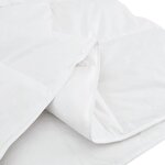 vidaXL Duvet d'hiver Blanc 155 x 200 cm Plume