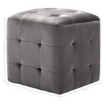 vidaXL 2 Pièces Poufs Gris 30 x 30 x 30 cm Tissu velours