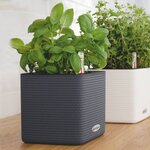 Lechuza jardinière de table cube color 14 all-in-one anthracite