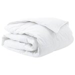 vidaXL Duvet d'hiver Blanc 260 x 220 cm Plume