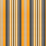 vidaXL Tissu de remplacement pour auvent rayures multicolores 4 5x3 5m