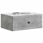 vidaXL Cabinet de chevet 2 Pièces Gris béton 49 x 34 5 x 20 cm