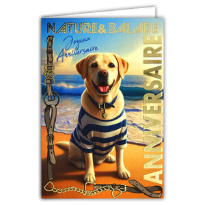 67-1271 Carte ANNIVERSAIRE Chien à la plage Texte en Or Doré Brillant et Enveloppe 12x17 5cm  labrador golden retriever à la mer Animal de compagnie en marinière t-short rayé bleu et blanc collier