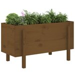 vidaXL Lit surélevé de jardin brun miel 101x50x57cm bois de pin massif