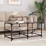 vidaXL Table basse avec dessus en verre noir 98 5x50x45 cm acier