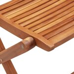 vidaXL Chaises pliantes de jardin lot de 2 bois d'acacia solide
