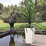 LECHUZA Jardinière Cubico Color 40 ALL-IN-ONE blanc 13150