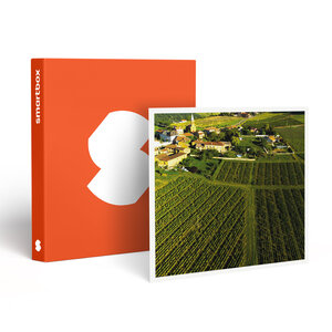 SMARTBOX - Coffret Cadeau Vol en montgolfière au-dessus du Beaujolais en week-end -  Sport & Aventure