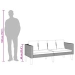 vidaXL Canapé de jardin à 2 places avec coussins Résine tressée Beige