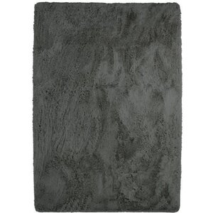 NEO YOGA Tapis de salon ou chambre - Microfibre extra doux - 225 x 340 cm - Gris foncé