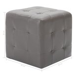 vidaXL 2 Pièces Poufs Gris 30 x 30 x 30 cm Similicuir