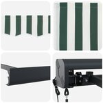 vidaXL Auvent Vert et blanc 300 x 250 x 165 cm Polyester et Aluminium