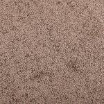 vidaXL Paillasson Marron 60x80 cm