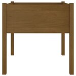 vidaXL Jardinière d'extérieur Marron miel 70x70x70 cm Pin massif