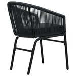 vidaXL Chaises de jardin lot de 2 Noir Rotin PE