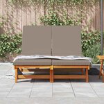 vidaXL Transat 2-personne Marron 125 x 200 x 84cm Bois d'acacia massif
