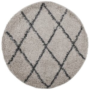 vidaXL Tapis shaggy à poils longs moderne beige et anthracite Ø 80 cm