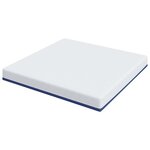 vidaXL Matelas Blanc  bleu 200 x 200 cm Mousse