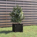 vidaXL Jardinière d'extérieur Noir 31x31x31 cm Bois de pin massif