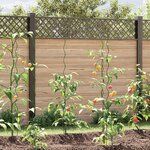 Supports de plantes en spirale vidaXL 50 Pièces 150 cm Acier