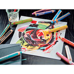 Etui carton x 10 crayons multi-talents STABILO woody 3in1 ARTY + 1 taille-crayon