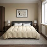 vidaXL Duvet complet toute l'année Crème 200 x 220 cm Microfibre