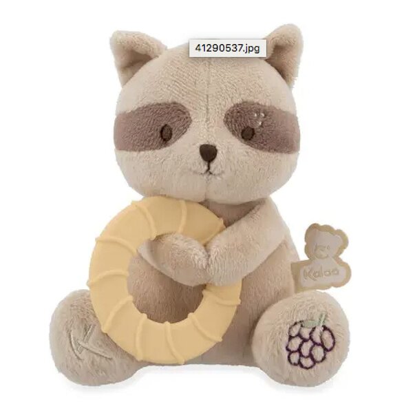 Peluche Raton Laveur avec Anneau de Dentition Refrigerant