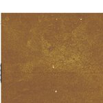 vidaXL Portail de jardin 105x80 cm acier corten