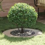 vidaXL Anneau d'arbre plat Ø50/80 cm en acier inoxydable