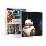 SMARTBOX - Coffret Cadeau Disney100 : L’Exposition - 1 billet Open pour 1 adulte -  Sport & Aventure