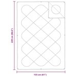 vidaXL Duvet avec Oreiller 2 Pièces Blanc 155 x 220 cm Microfibre