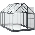 vidaXL Serre de jardin avec porte Anthracite 183 5 x 303 5 x 207 cm