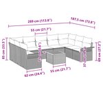 vidaXL Ensemble de 10 pièces de sofa de jardin avec coussins Noir Poly Rotin Acacia