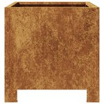 vidaXL Jardinières 2 Pièces 30x30x30 cm acier corten