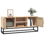 vidaXL Meuble TV 105x30x45 cm bois d'ingénierie et fer