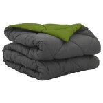 vidaXL Duvet d'été simple Vert et Anthracite 200 x 155 cm Microfibre